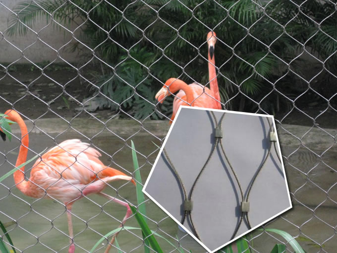 Zoo Netting Fence