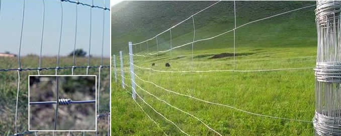 Hinged Joint Wire Fence